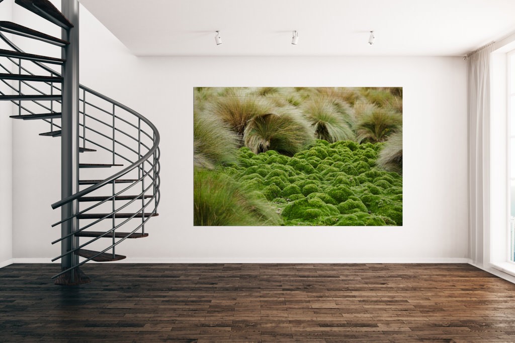 Die Fotokunst vom Fotografen Rayk Weber aus Magdeburg
