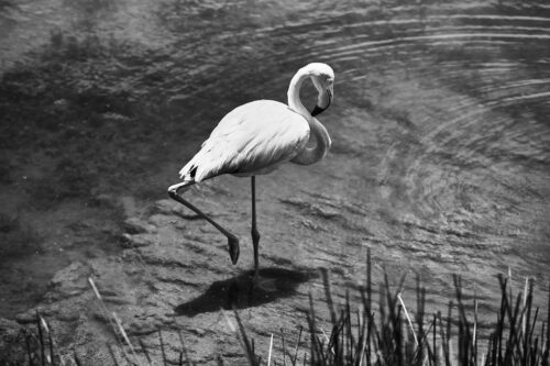 fotokunst vom fotograf rayk weber aus magdeburg